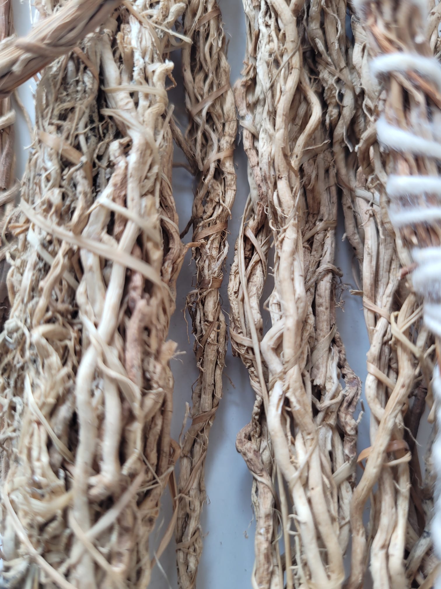 agromaya-racine-de-v-tiver-tisane-khamar-femme image 1