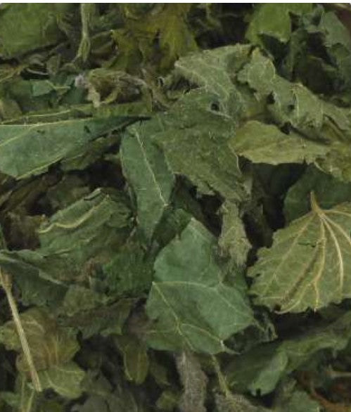 agromaya-infusions-ortie-tisane-feuilles-50g-remin-ralisante-fer image 1