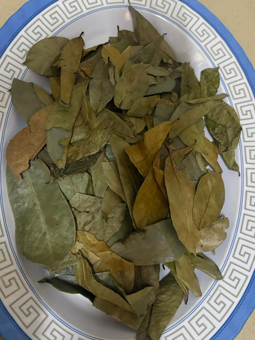 agromaya-feuilles-de-corossol-tisane-20-feuilles image 1