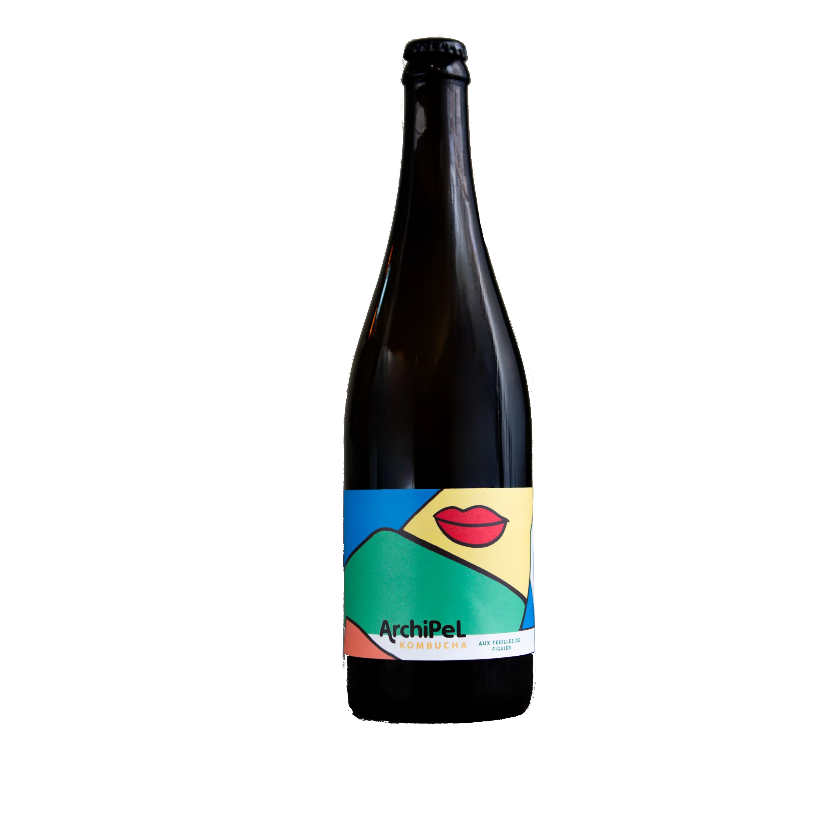 alain-milliat-archipel-kombucha-feuilles-de-figuier-33cl-bio image 2