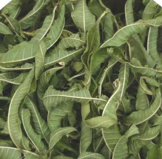 agromaya-infusions-verveine-citronn-e-tisane-digestive image 2