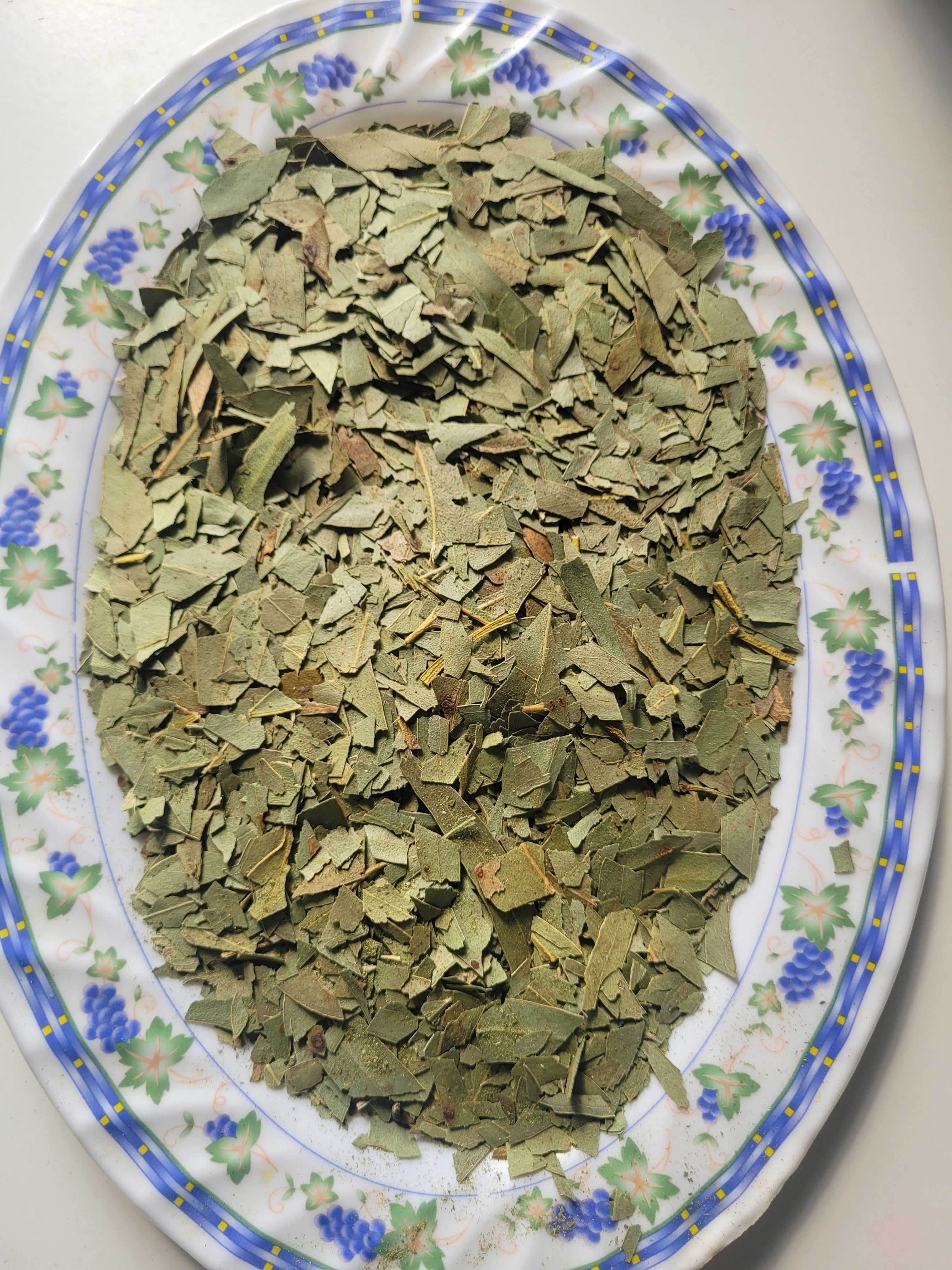 agromaya-feuille-eucalyptus-100g-tisane-respiration image 1