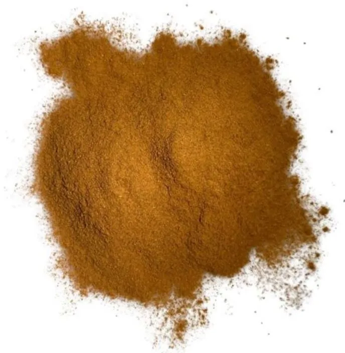 agromaya-pices-soumbala-condiment-africain-100g image 1