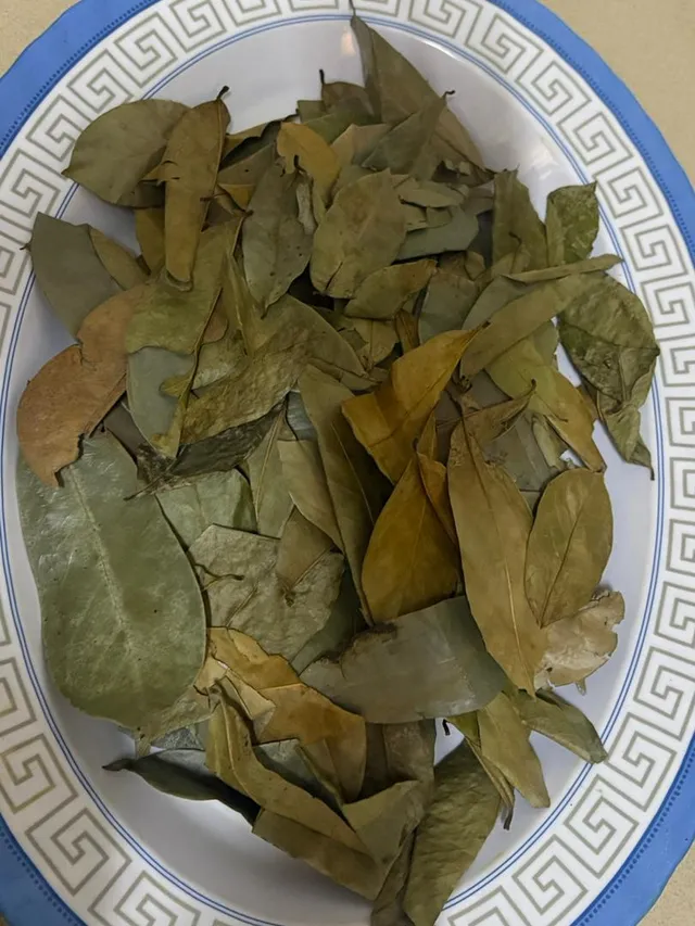 agromaya-feuilles-de-corossol-tisane-20-feuilles image 1
