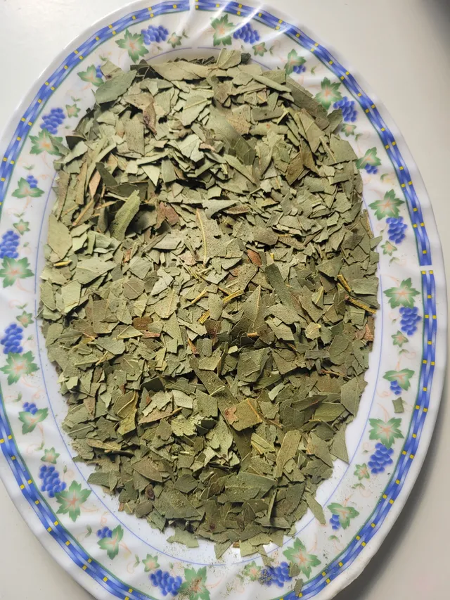 agromaya-feuille-eucalyptus-100g-tisane-respiration image 1