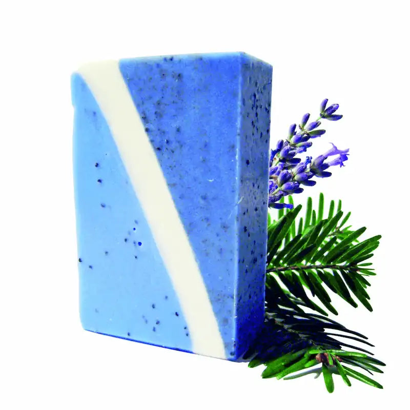 arbaurea-savon-saponifi-froid-vandal-exfoliant-lavandin-sapin image 1